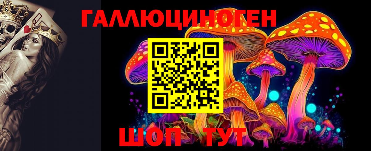 Зеленокумск  Псилоцибиновые грибы мицелий  Вход с VPN 